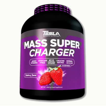 tesla Mass Super Charger 2.2KG